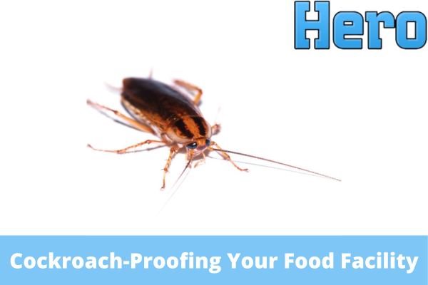Cockroach-Proofing Your Food Facility